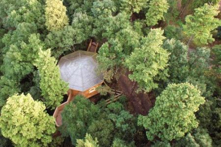 Les Cabanes dans les bois
