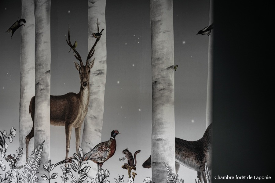 CreditOlivierBaron_ch_foretdelaponie1 (1)