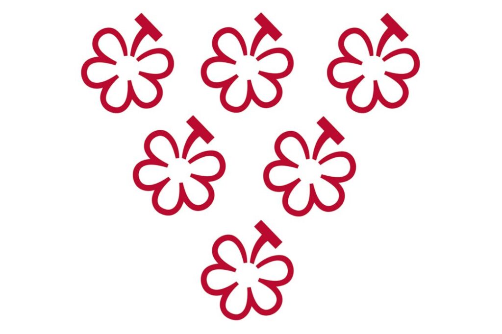 Après ses « Etoiles » pour les restaurants à partir de 1926, ses « Clefs » pour les hôtels depuis 2024, le Guide Michelin lâchera ses « Grappes » à compter de 2026 pour distinguer les meilleurs domaines viticoles à ses yeux, dans une première phase ceux du Bordelais et de Bourgogne. La sélection, établie par une équipe salariée du Michelin, les classera en quatre niveaux : du simple « Sélectionné » à la distinction suprême des « Trois Grappes ». Elle se fondera sur cinq critères universels . Une classification disponible uniquement sur les plateformes numériques de Guide.