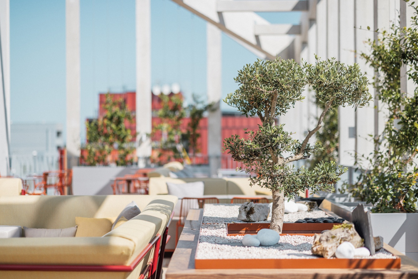 CreditDavidDuchonDoris_Sangha_Rooftop_5