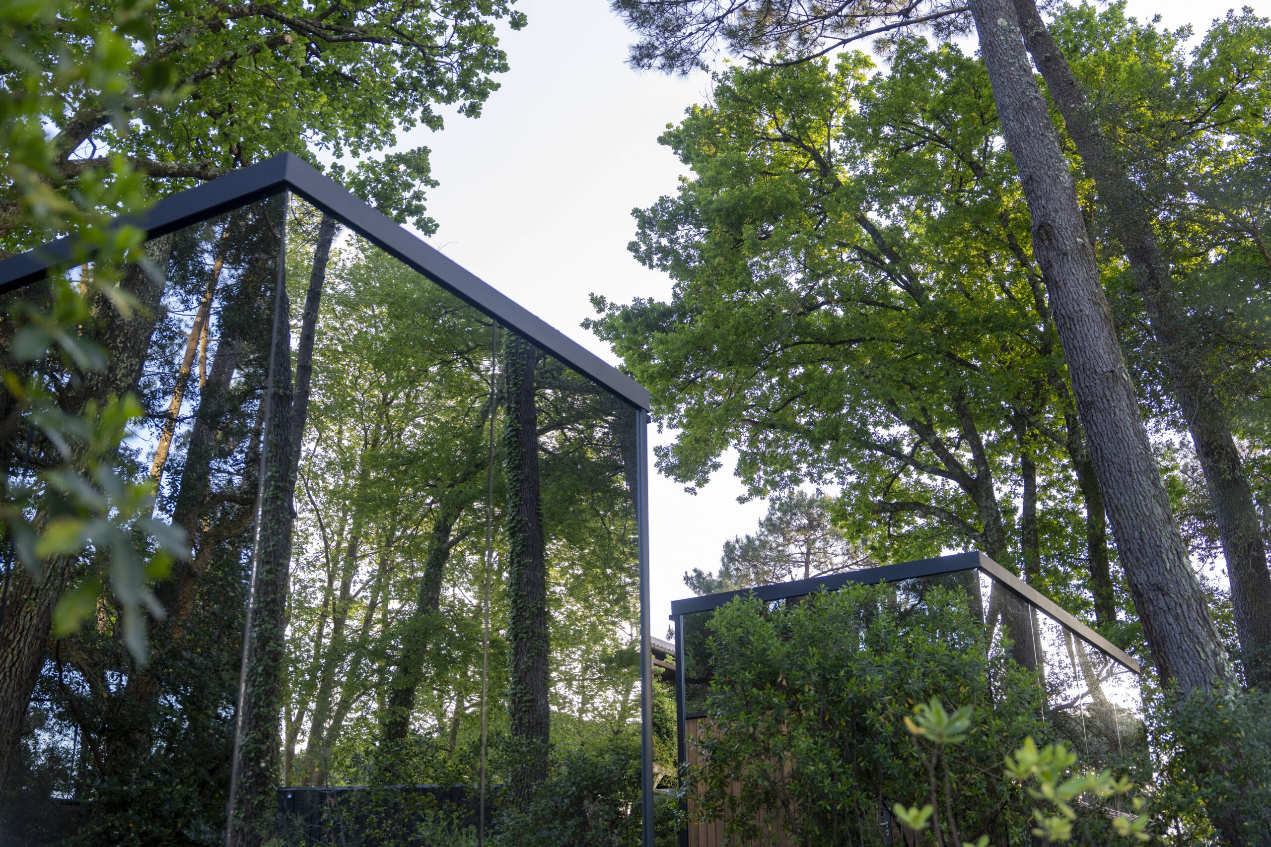 Crédit_BonjourSauvage_SEI-MIROIR-OOD-202604-00110